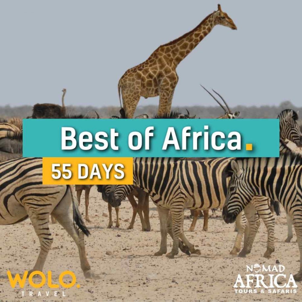 Best of Africa 55 Days