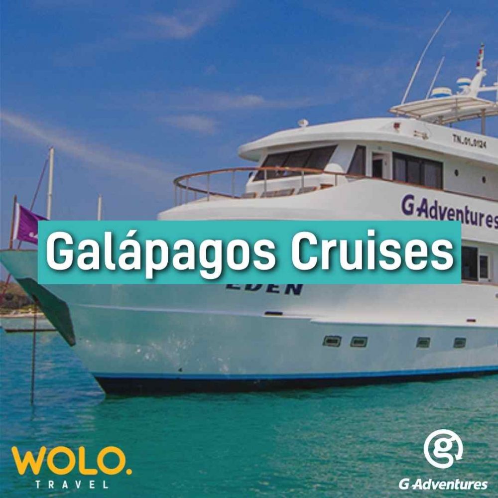 Galapagos Cruises