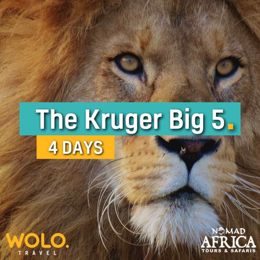 Kruger 4 Days