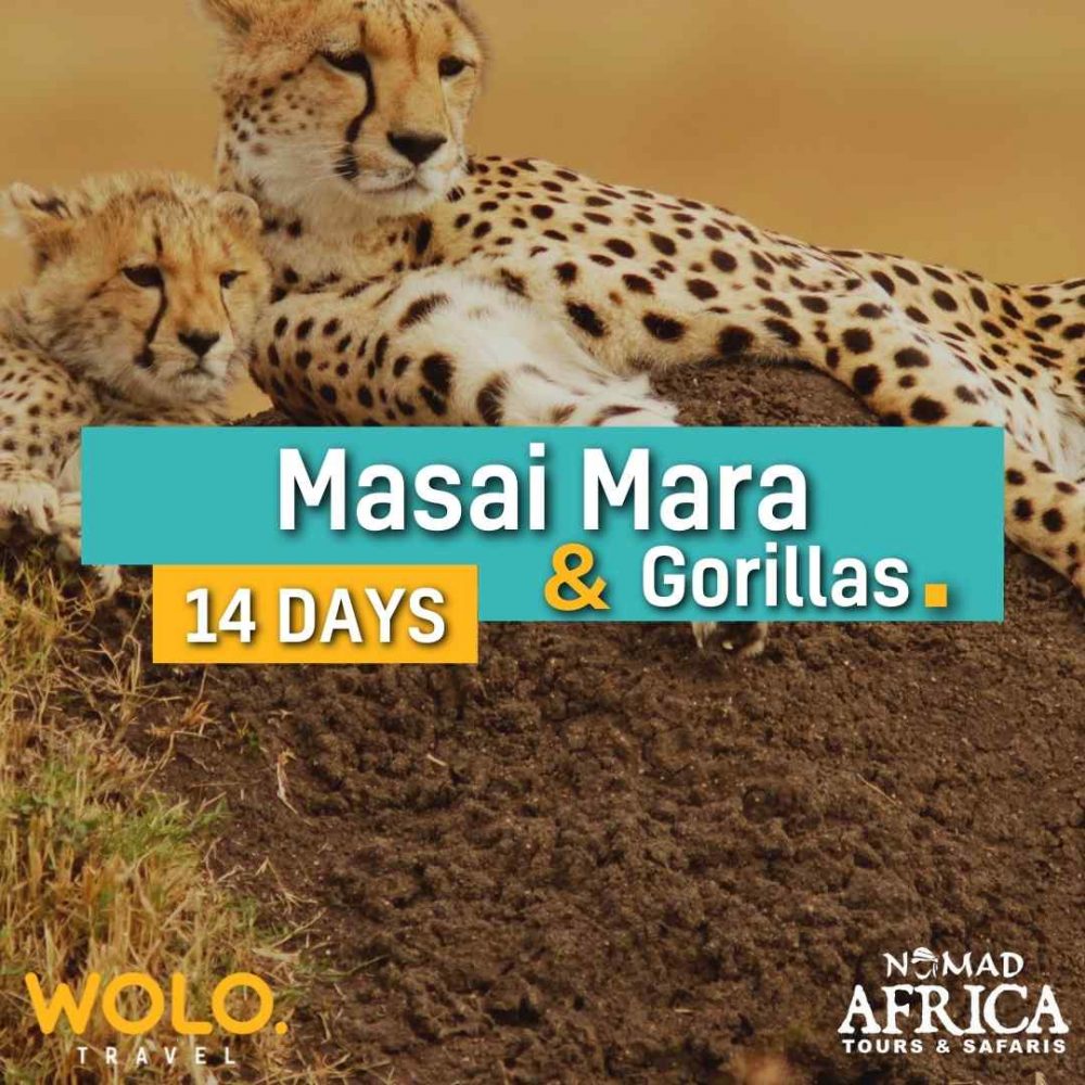 Masai Mara & Gorillas 14 Days