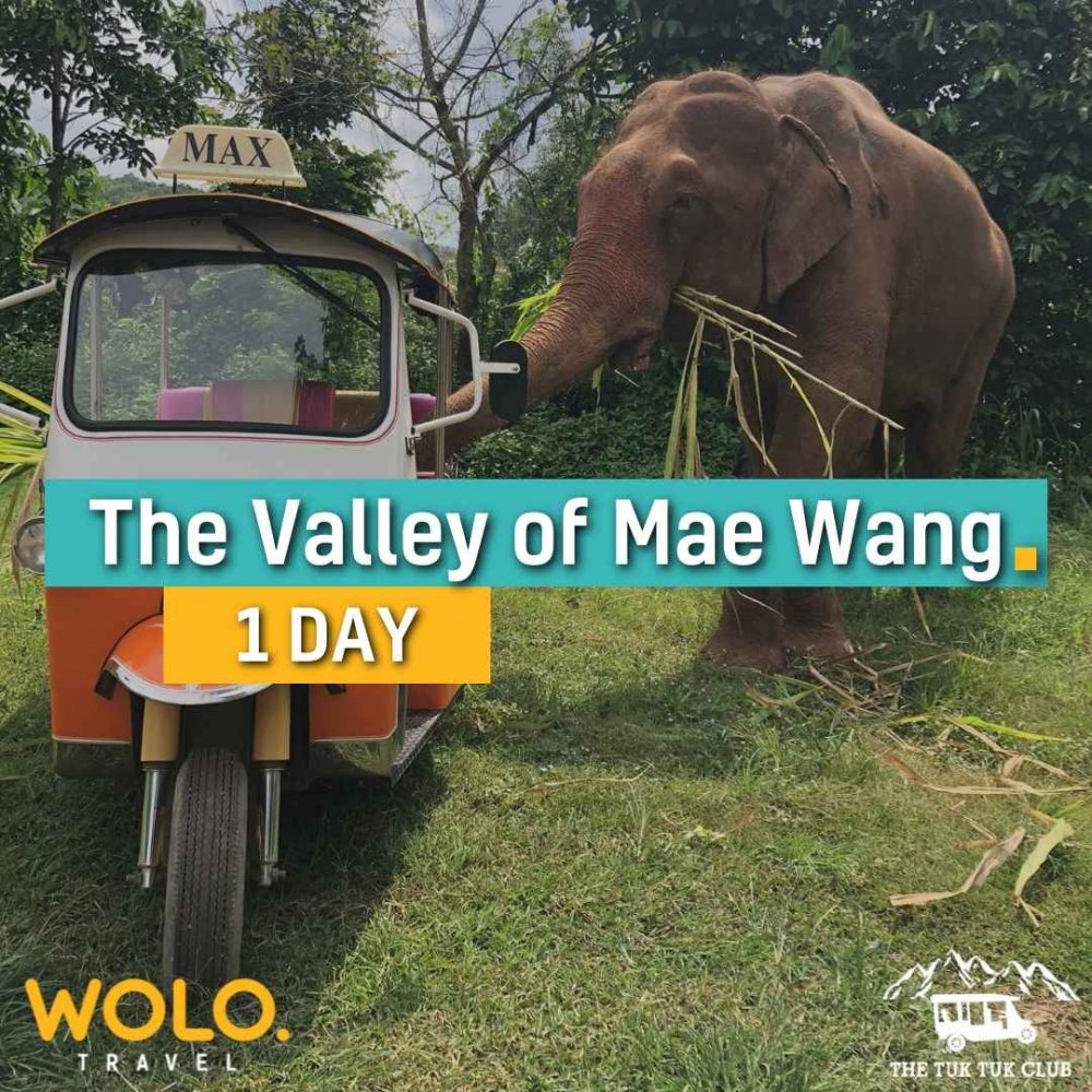 THE VALLEY OF MAE WANG 1 Day