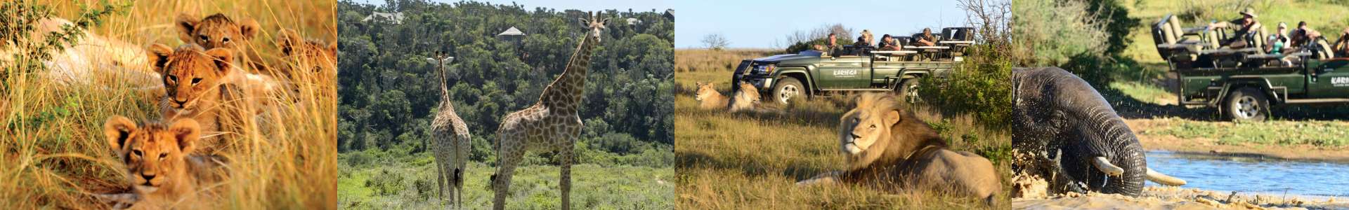 Cape Town & Kariega 4 Star Itinerary (3) Cape Town & Kariega 4 Star Itinerary (3)