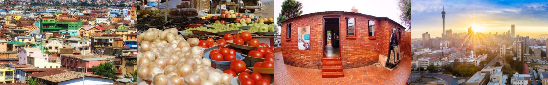 Johannesburg & Sun City WOLO Tour Johannesburg & Sun City WOLO Tour